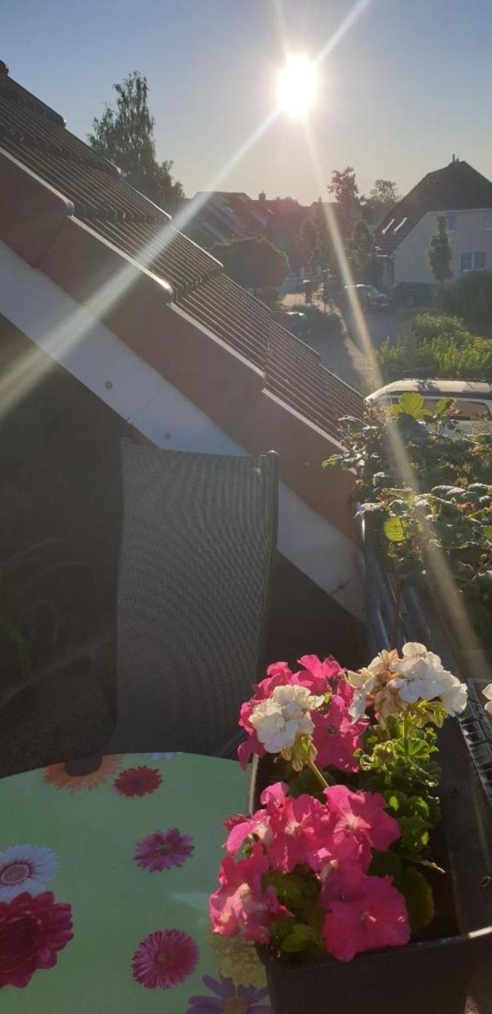Ferienwohnung In Radeberg Bei Dresden Exteriér fotografie