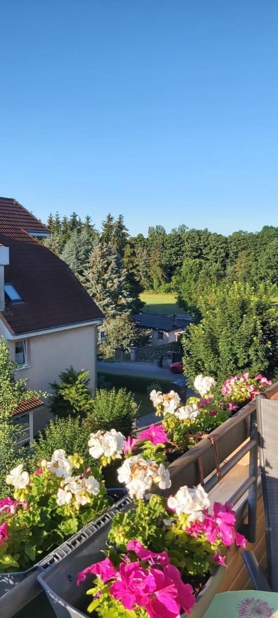 Ferienwohnung In Radeberg Bei Dresden Exteriér fotografie